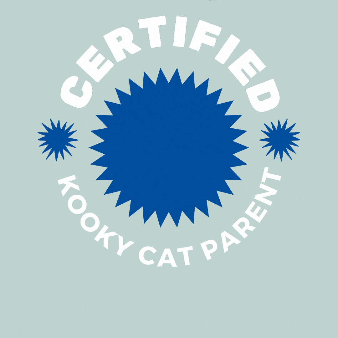 Cat Parent GIF by Animal Care Center
