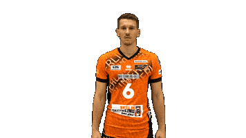 Volleyball Berlin Sticker by BR Volleys