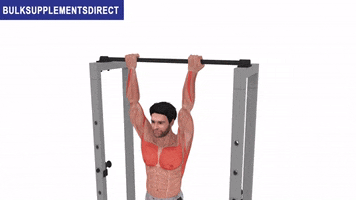 Chin Ups GIF