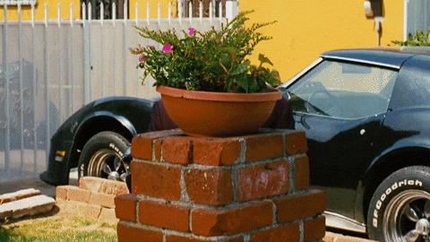 creepy african american GIF