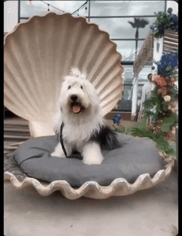 Summer Fun Dog GIF by Papa’s Petz