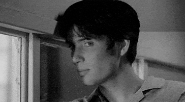 Murphy's Law GIFs - Find & Share on GIPHY