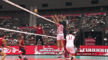 Smash Bring It On GIF by Volleyball World