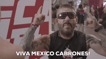 Lets Go Mexico GIF by UFC