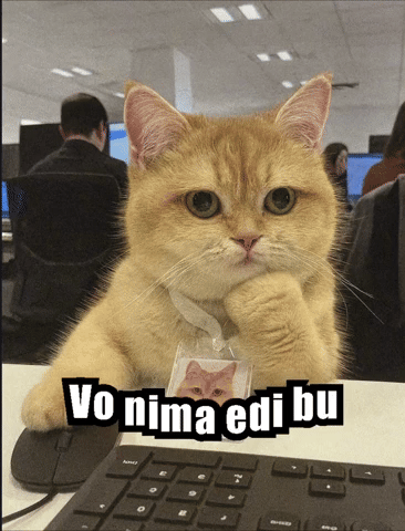 Vo Nima Edi Bu GIF