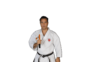 Isshoni Karate Sticker