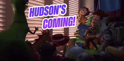 Hudson GIF