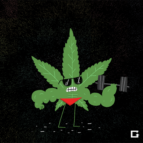 weed GIF by gifnews