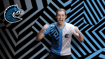 Fists Win GIF by BS+COMPETITION
