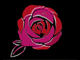red rose GIF by Ai Di Ti