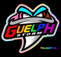 Pride GIF by GuelphStormHockey