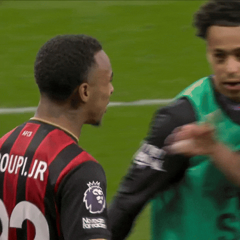 Lets Go Hug GIF by AFC Bournemouth