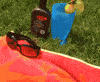 Dog Summer GIF