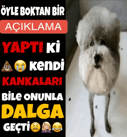 Dog Clown GIF