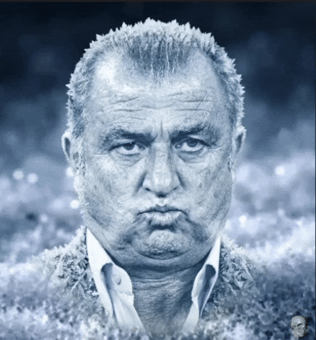Fatih Terim GIF