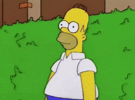 Homer Simpson GIF