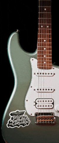 Guitarracordoba GIF by IMAE Cordoba