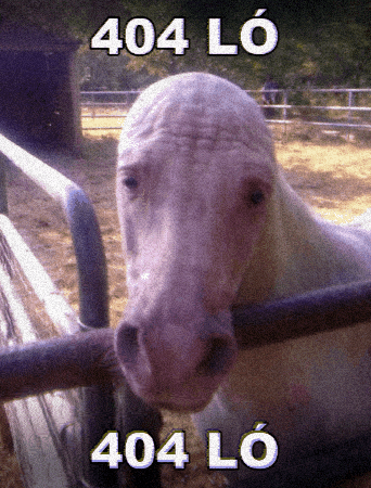 404 GIF by Keddi Kosár