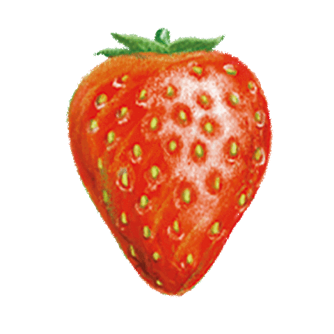 Fruit Strawberry Sticker