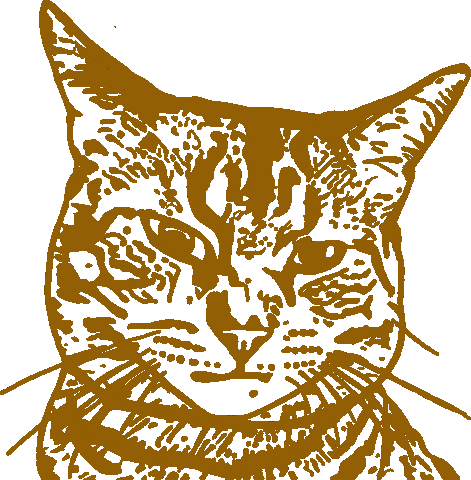 Cat Illustration Sticker by dalvago