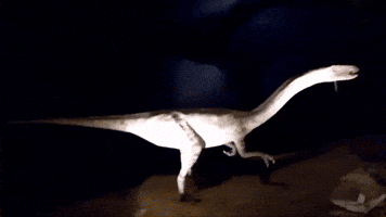 Dinosaur GIF