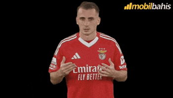 Benfica GIF by mobilbahis