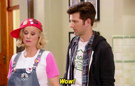 Parks And Recreation Wow GIF
