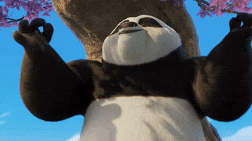 Fail Jack Black GIF by Kung Fu Panda 4