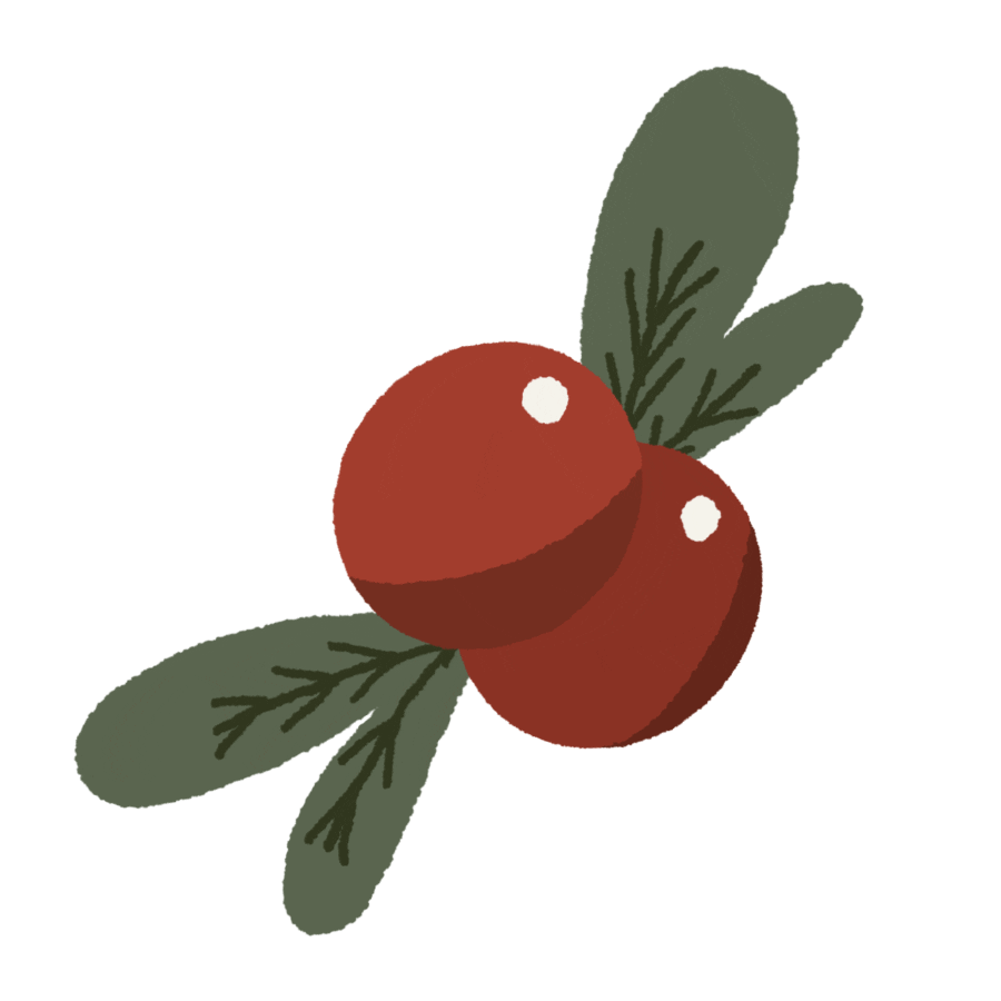 Christmas Plant Sticker