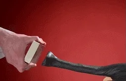 puddy GIF