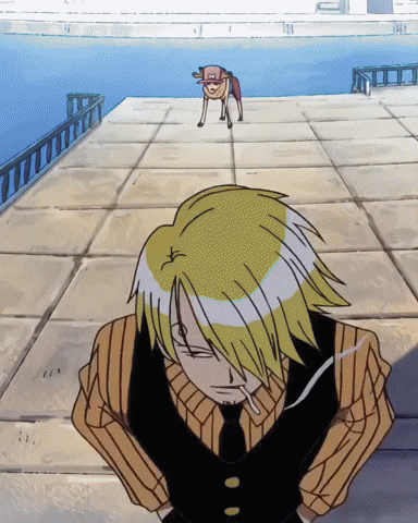vimsmokesanji