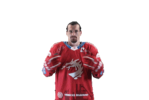Hockey Trinec Sticker by HC Oceláři Třinec