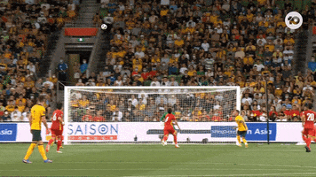 World Cup Soccer GIF by Football Australia