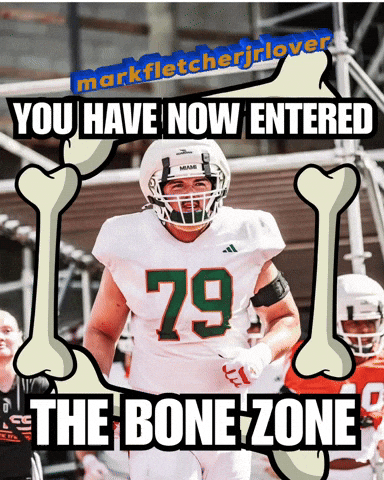 Miami Canes GIF