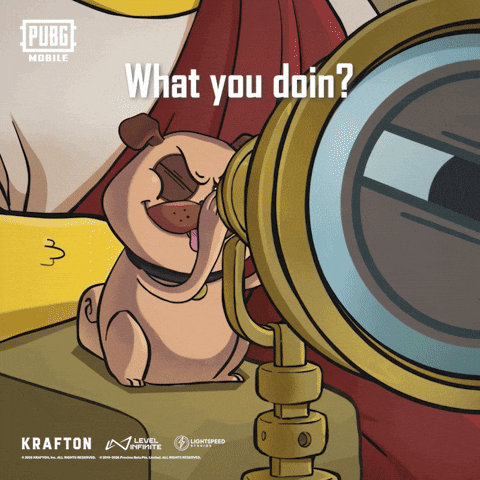What You Doin Whats Up GIF by Official PUBG MOBILE