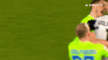 Party Yes GIF by VfL Wolfsburg