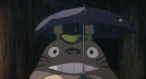 Image result for Totoro gif
