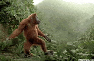 200.gif?cid=fc005b08c25253f12eed3de6cf8bda9f9d8ec6688333765c&rid=200.gif&ct=g