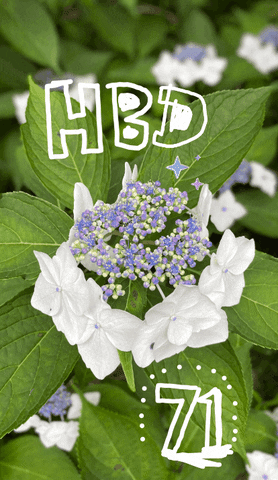 Happy Birthday Flower GIF by KaoruHironaka