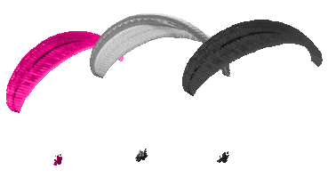 SkyGirlParaglinding Sticker