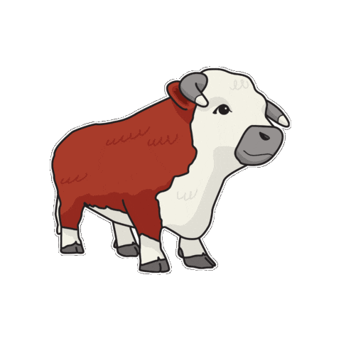 Chesley Sticker by Experience ArranElderslie
