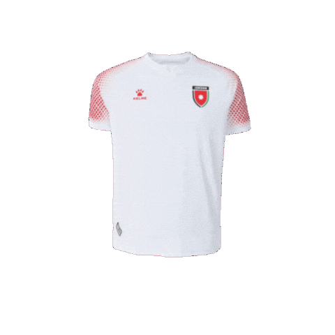 World Cup 2026 Football Sticker by All Jordan Youth Commission