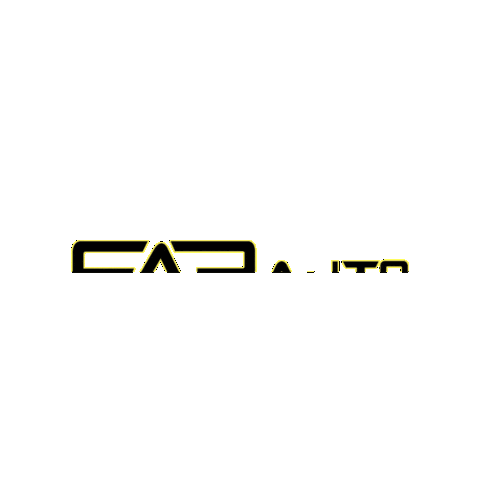 FAP Auto Sticker