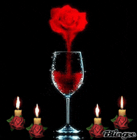 rose wine GIF