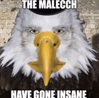 Modi Anti Racist GIF