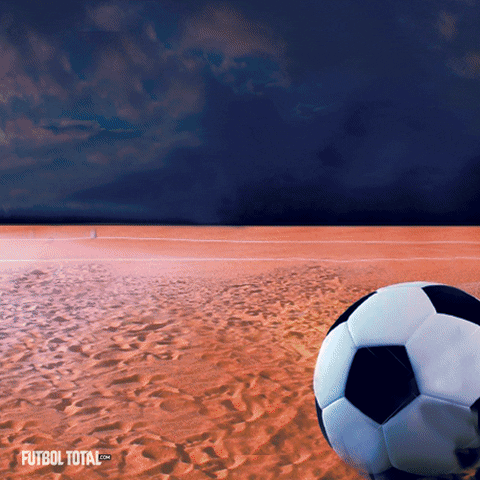 ftgif zlatan ibrahimovic futboltotal hatem ben arfa andrija zivkovic GIF