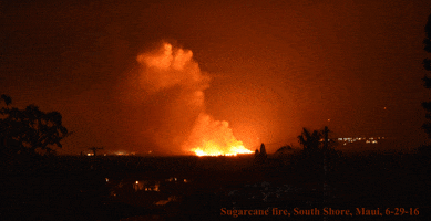 marywhisperingwind fire smoke ash pollution GIF