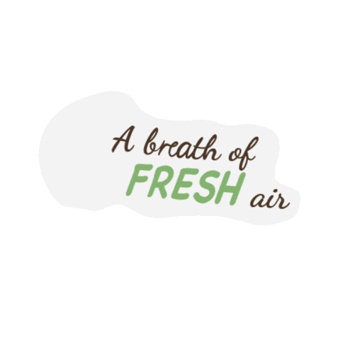 Momentum Bicycles Sticker