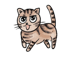 Cat Sticker