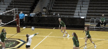 Celebration Dancing GIF by Brown Volleyball